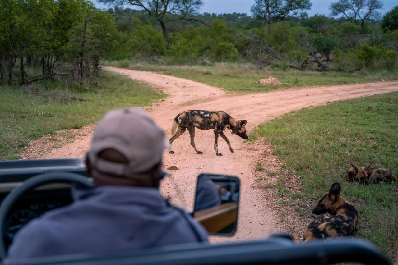 Thornybush Game Lodge Thornybush Game Reserve Bagian luar foto