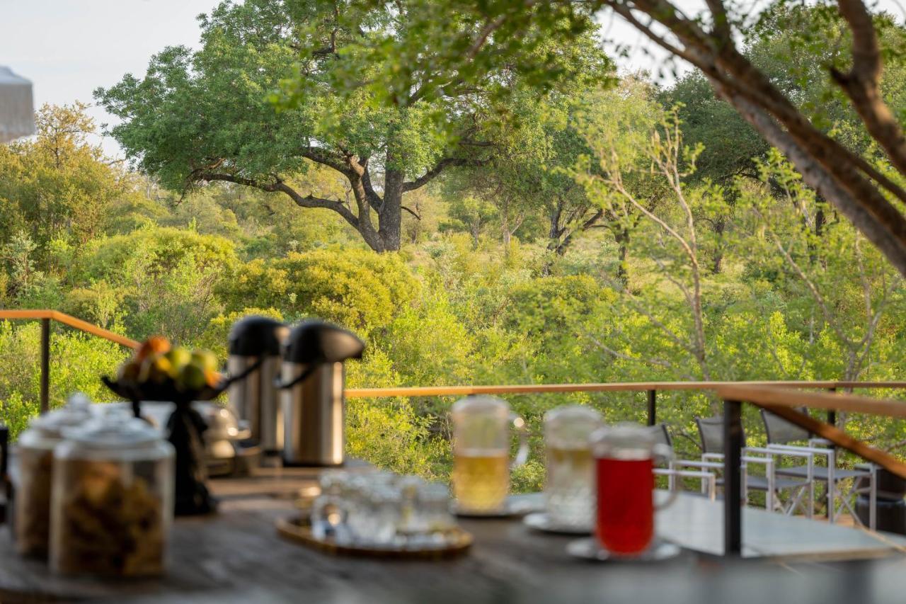 Thornybush Game Lodge Thornybush Game Reserve Bagian luar foto